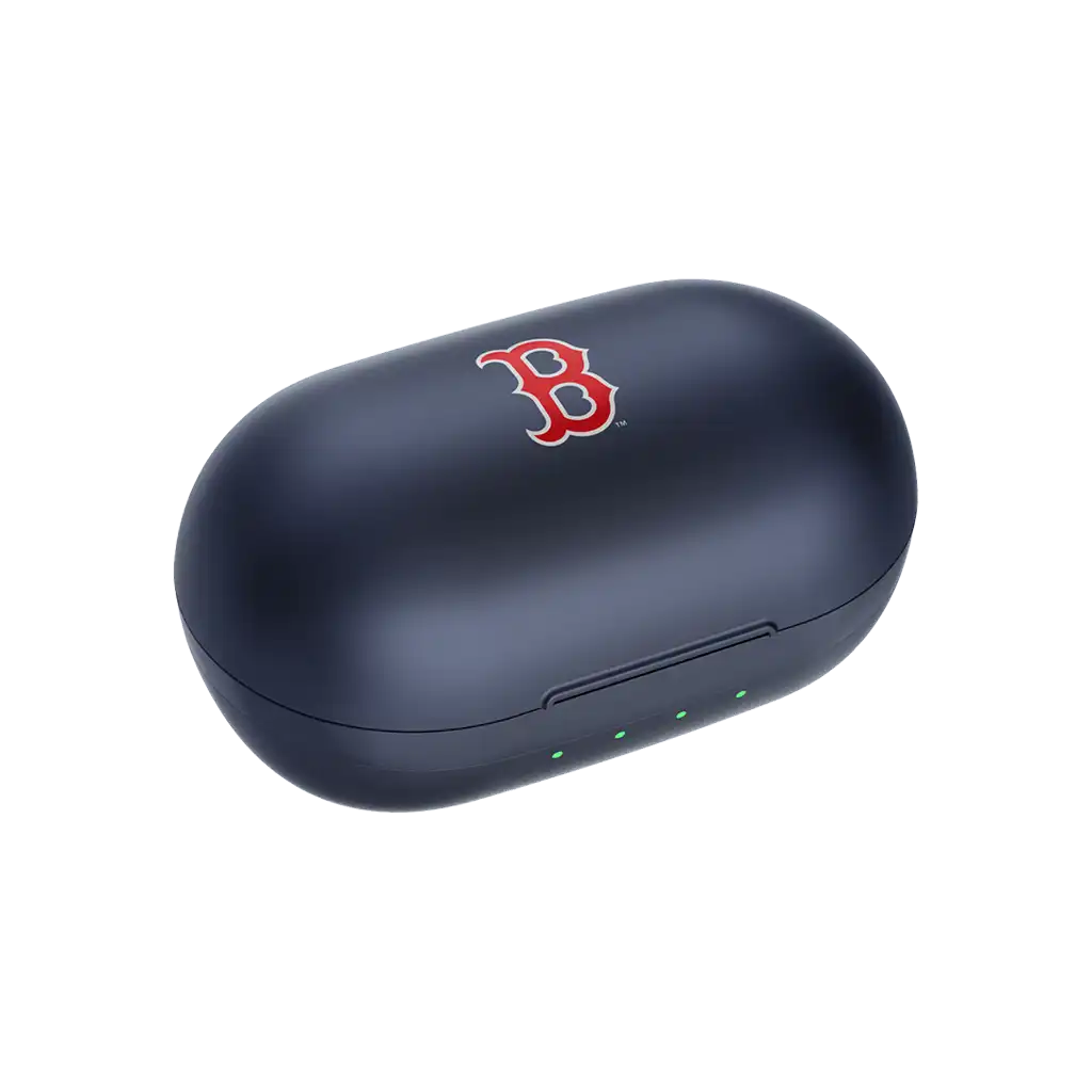 rayconearbuds.us.com