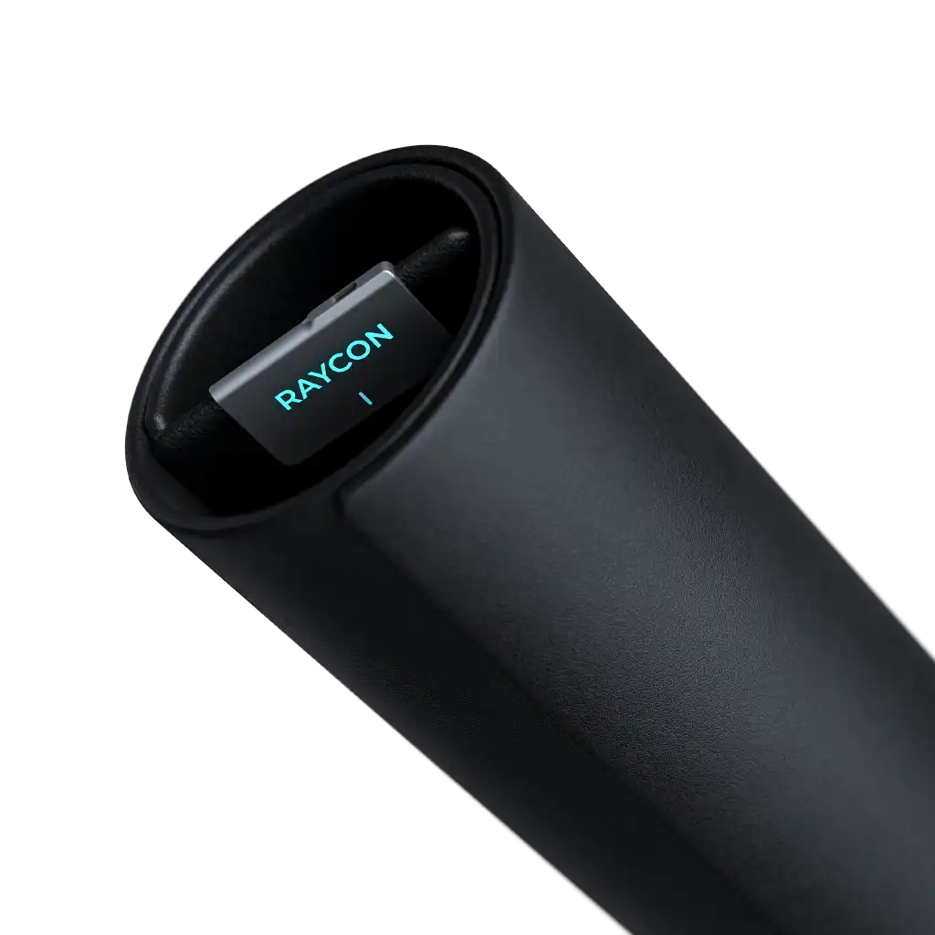 rayconearbuds.us.com